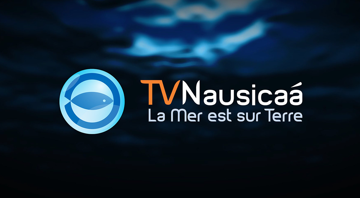 TV NAUSICAA